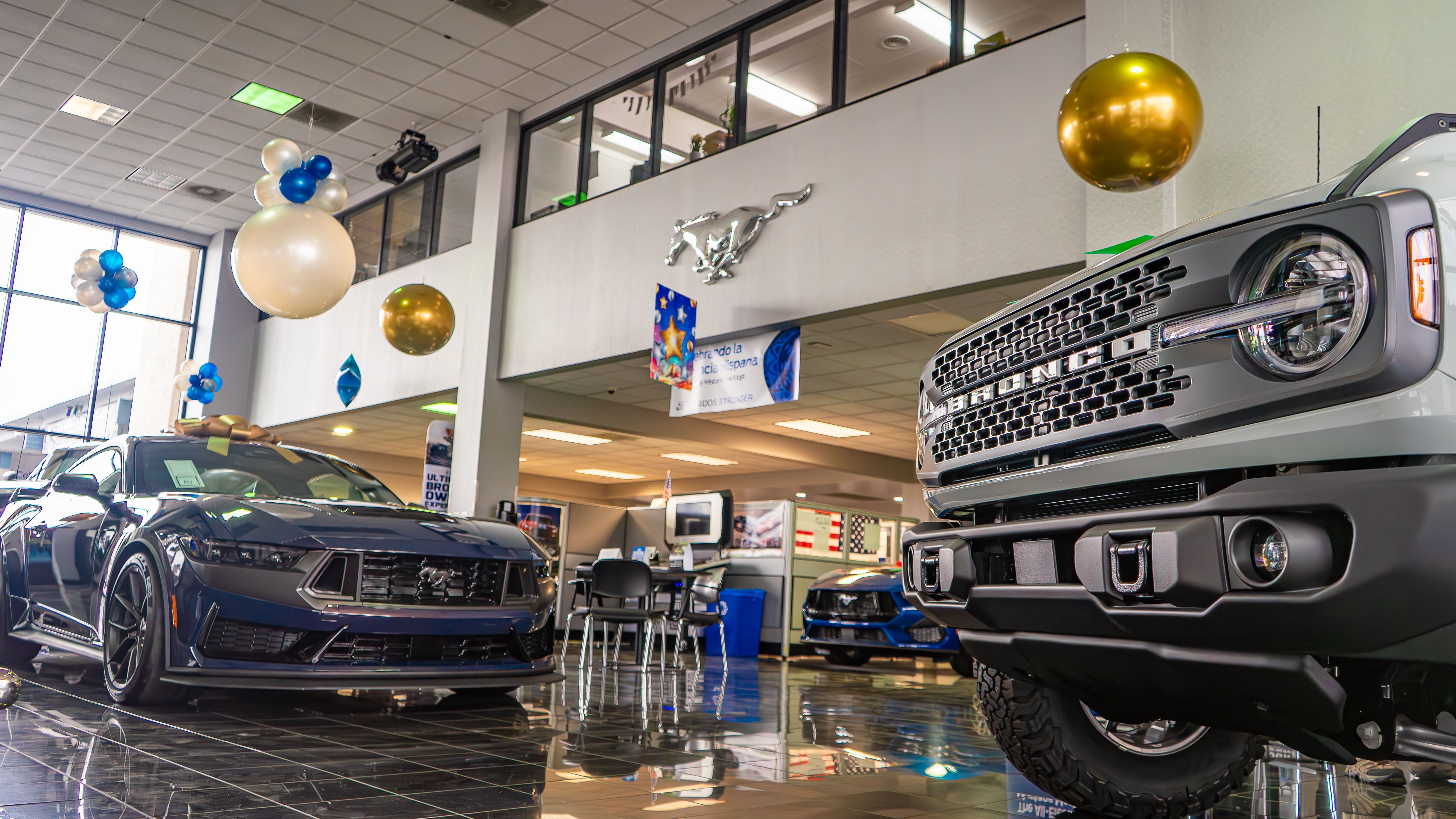 Ford Fritts Showroom